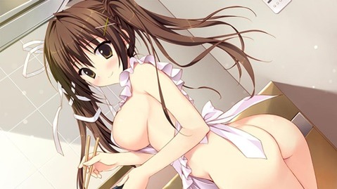 裸エプロンがエロくて仕方ない二次エロ画像⑯　25枚 5