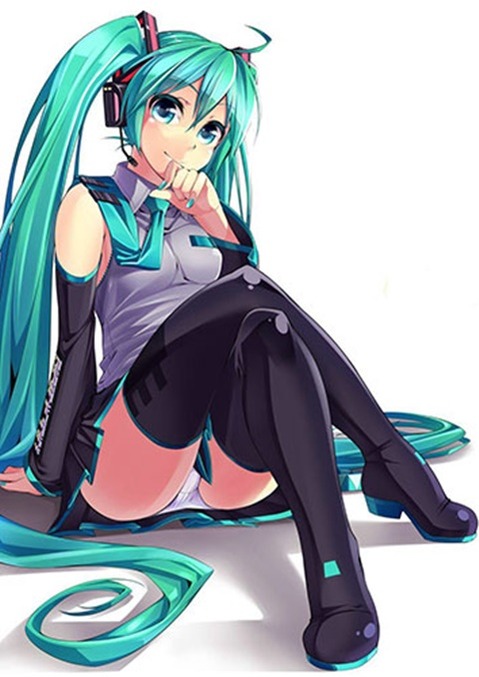【VOCALOID】初音ミクの二次エロ画像　100枚【ボーカロイド】 22