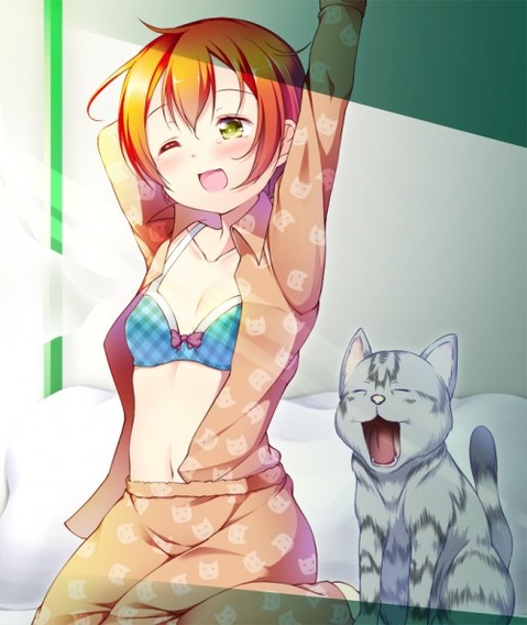 【ラブライブ!】星空凛の二次エロ画像　100枚 34