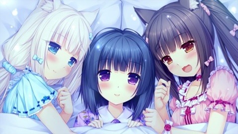猫耳が可愛い女の子の二次エロ画像④　100枚 19
