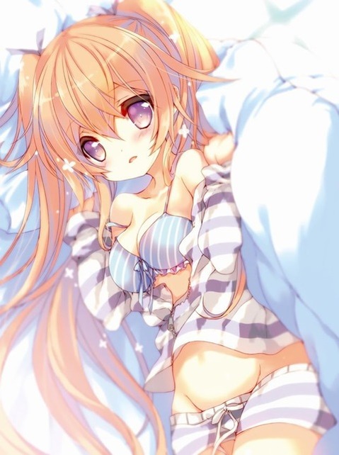 ツインテールの女の子の二次エロ画像⑤　100枚 15