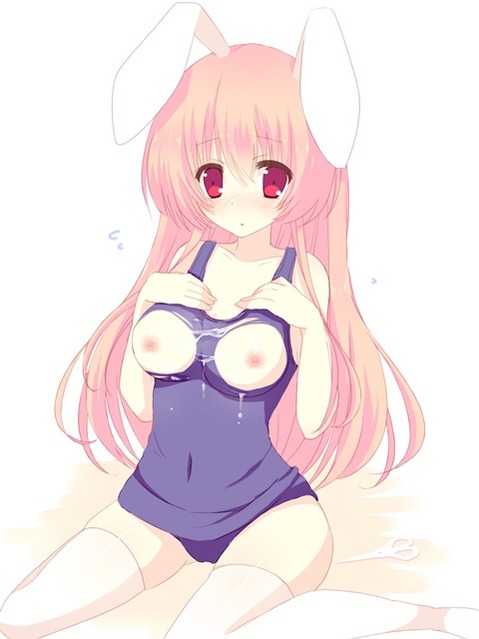うさ耳が可愛い女の子の二次エロ画像②　100枚 26