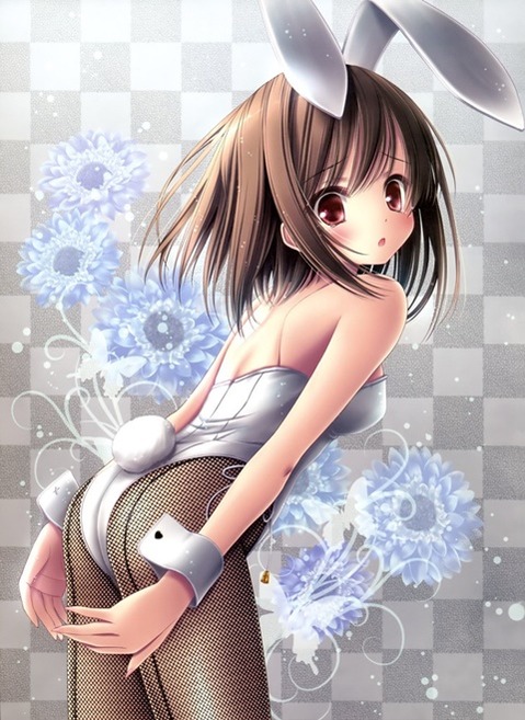 うさ耳が可愛い女の子の二次エロ画像②　100枚 95
