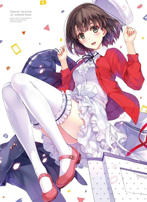 ニーソ・ニーハイを履いた女の子の二次エロ画像⑦　100枚 64