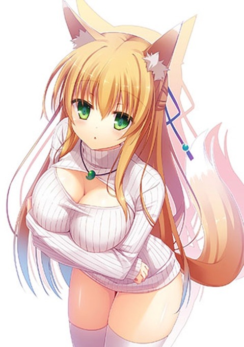 ニーソ・ニーハイを履いた女の子の二次エロ画像⑧　100枚 85