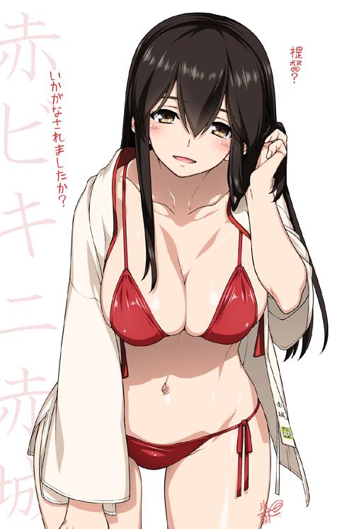 【二次エロ】【艦これ】赤城（あかぎ）ﾁｬﾝのエロカワな姿の画像がみたい！ 13