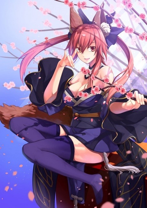 【Fate】キャスターの二次エロ画像　100枚 6