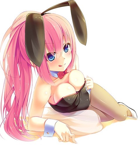 うさ耳が可愛い女の子の二次エロ画像⑤　100枚 87