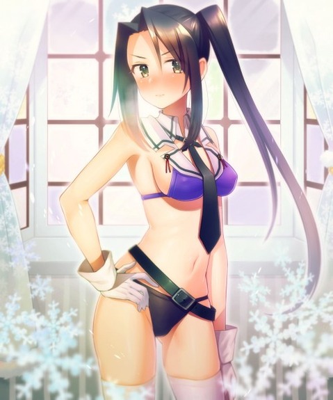 【艦これ】那智の二次エロ画像　100枚【艦隊これくしょん】 27