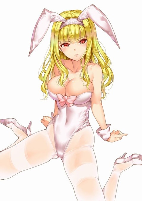 うさ耳が可愛い女の子の二次エロ画像④　100枚 42