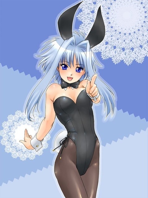 うさ耳が可愛い女の子の二次エロ画像④　100枚 28