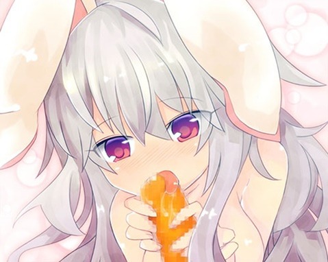 うさ耳が可愛い女の子の二次エロ画像④　100枚 96