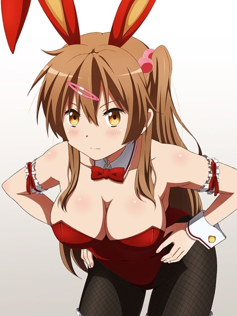 うさ耳が可愛い女の子の二次エロ画像③　100枚 21
