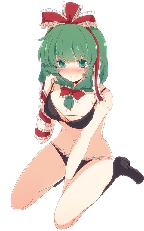【東方】鍵山雛の二次エロ画像②　95枚【東方Project】 3