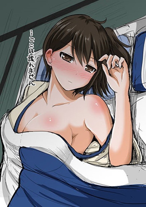 【艦これ】加賀の二次エロ画像　100枚【艦隊これくしょん】 28