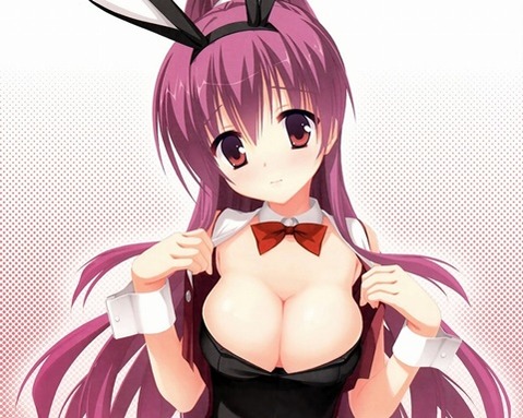 うさ耳が可愛い女の子の二次エロ画像②　100枚 65