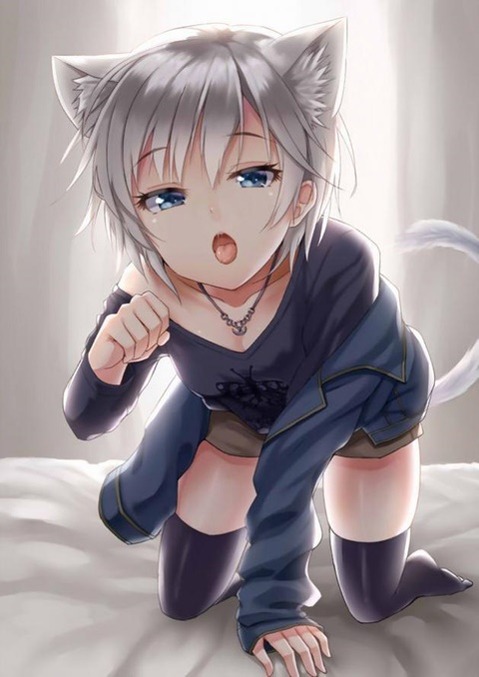 猫耳が可愛い女の子の二次エロ画像①　100枚 3