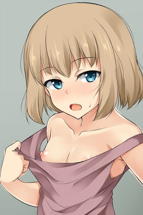 貧乳・微乳・ちっぱいな女の子の二次エロ画像㉒　25枚 21