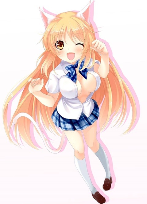 猫耳が可愛い女の子の二次エロ画像⑤　100枚 95