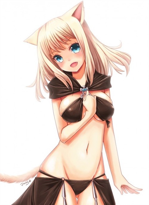 猫耳が可愛い女の子の二次エロ画像①　100枚 53