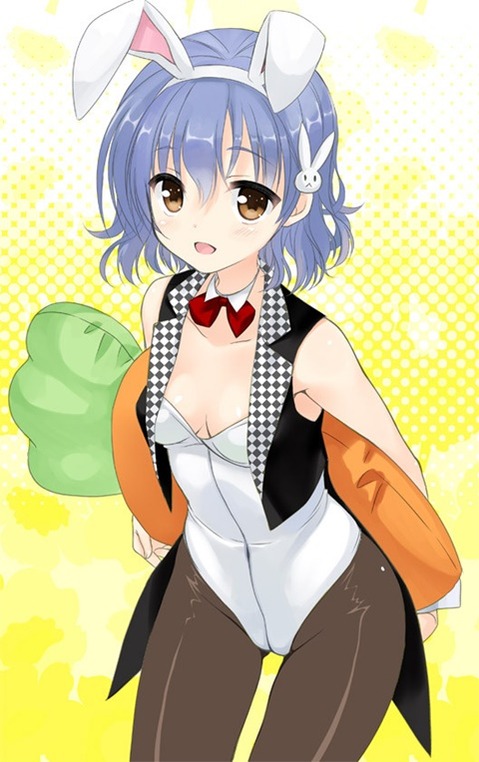 うさ耳が可愛い女の子の二次エロ画像④　100枚 15