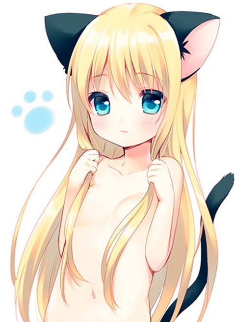 猫耳が可愛い女の子の二次エロ画像②　100枚 89