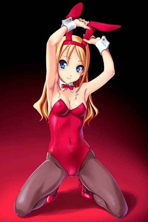 うさ耳が可愛い女の子の二次エロ画像③　100枚 61