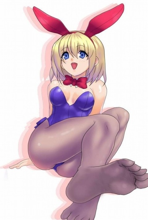 うさ耳が可愛い女の子の二次エロ画像①　100枚 96