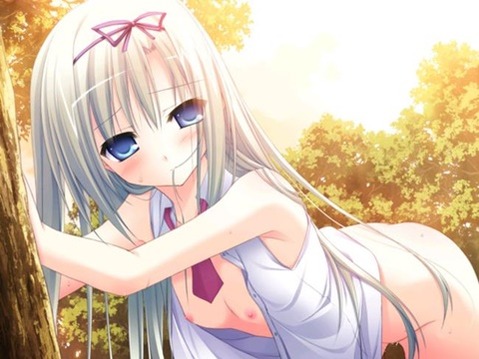 貧乳・微乳・ちっぱいな女の子の二次エロ画像⑬　25枚 11
