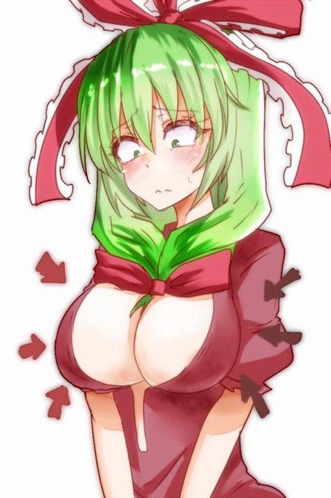 【東方】鍵山雛の二次エロ画像②　95枚【東方Project】 30