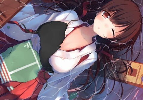 【艦これ】赤城の二次エロ画像　100枚【艦隊これくしょん】 71