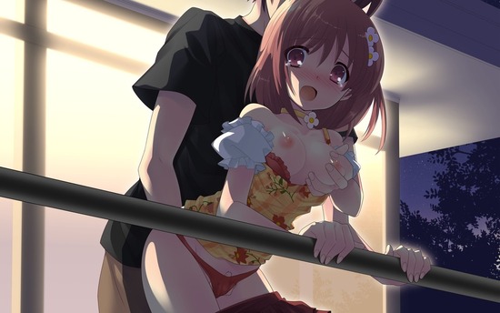 【二次エロ】後背位でおチンポを挿入されてアヘっちゃう二次元の美少女画像がみたい！ 18