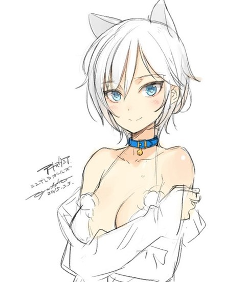 猫耳が可愛い女の子の二次エロ画像②　100枚 98