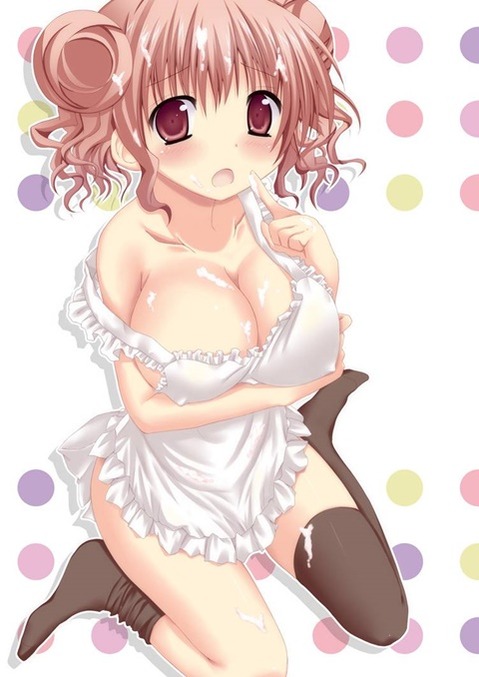 裸エプロンがエロくて仕方ない二次エロ画像①　25枚 12