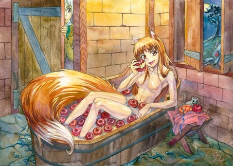 【狼と香辛料】賢狼ホロの二次エロ画像②　100枚 9