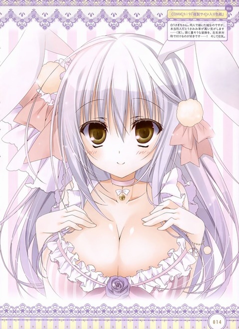 うさ耳が可愛い女の子の二次エロ画像④ 100枚