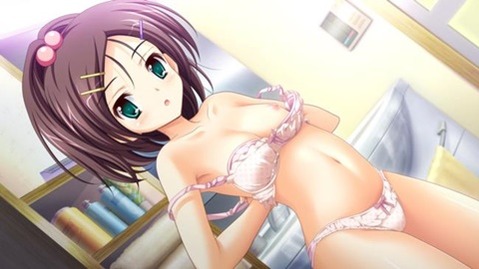 貧乳・微乳・ちっぱいな女の子の二次エロ画像⑭　25枚 21