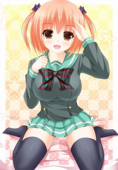 ニーソ・ニーハイを履いた女の子の二次エロ画像③　100枚 31