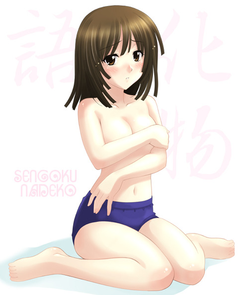 【化物語】千石撫子の二次エロ画像②　100枚 7