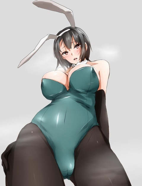 うさ耳が可愛い女の子の二次エロ画像②　100枚 59