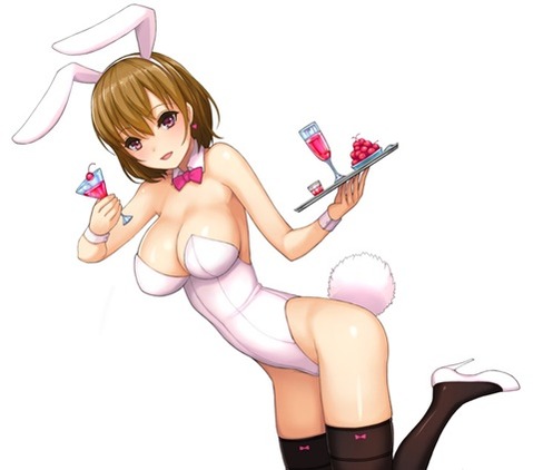 うさ耳が可愛い女の子の二次エロ画像③　100枚 27