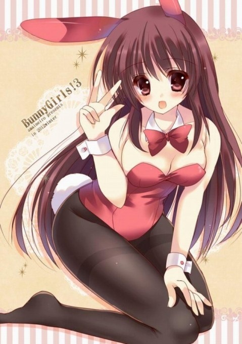 うさ耳が可愛い女の子の二次エロ画像①　100枚 53