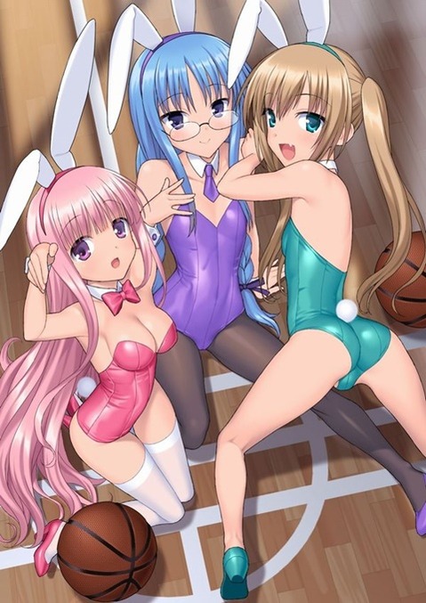 うさ耳が可愛い女の子の二次エロ画像④　100枚 51