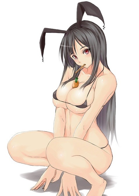 うさ耳が可愛い女の子の二次エロ画像②　100枚 79