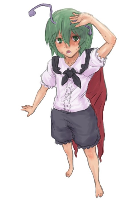 【東方】リグル・ナイトバグの二次エロ画像②　100枚【東方Project】 71