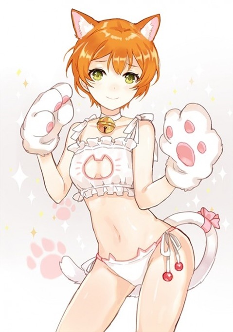 猫耳が可愛い女の子の二次エロ画像④　100枚 8