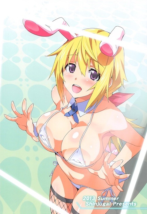 うさ耳が可愛い女の子の二次エロ画像③　100枚 54