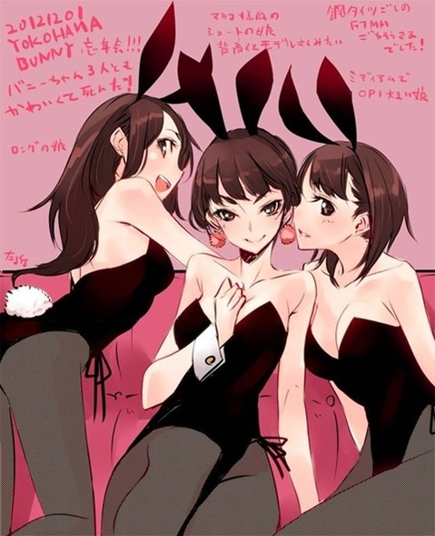 うさ耳が可愛い女の子の二次エロ画像⑤　100枚 32