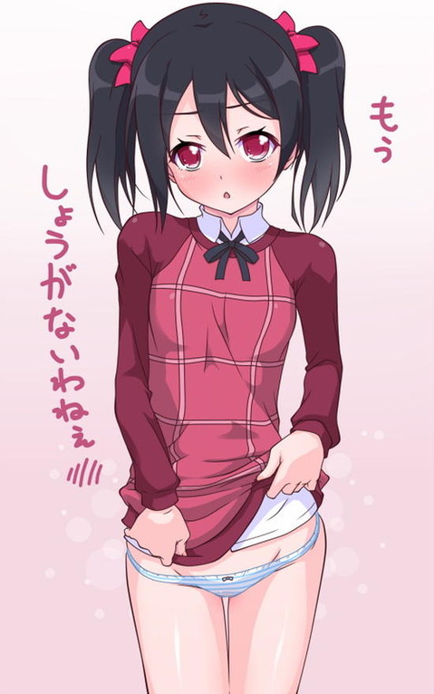 【ラブライブ!】矢澤にこの二次エロ画像　100枚 23