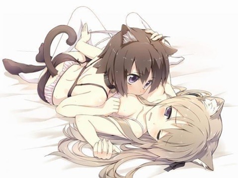 猫耳が可愛い女の子の二次エロ画像④　100枚 5